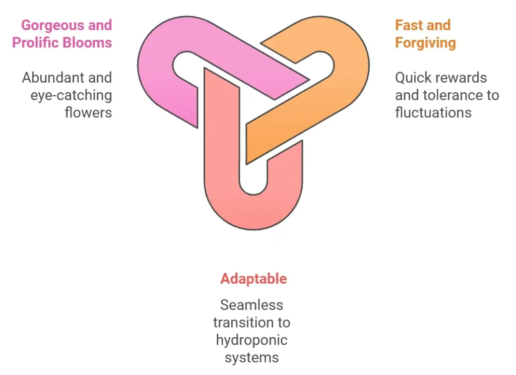 Hydroponic Flowers for Beginners