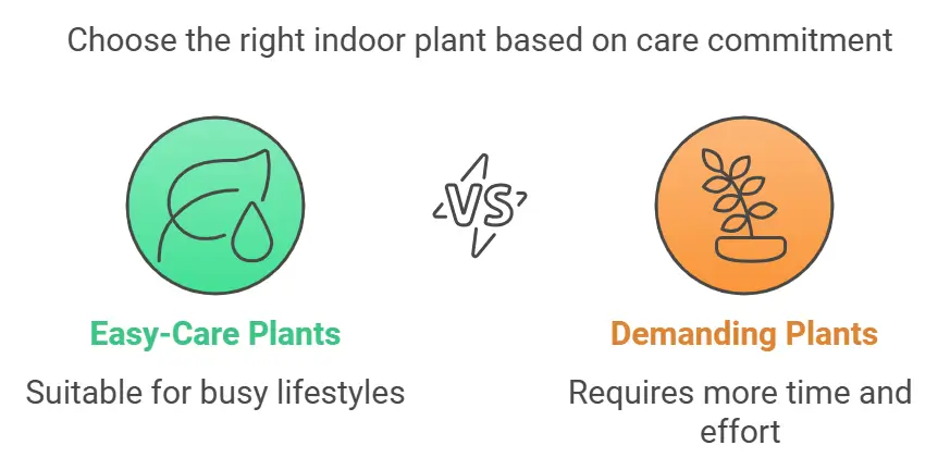 Choose the right Large indoor plant s based on care commitment