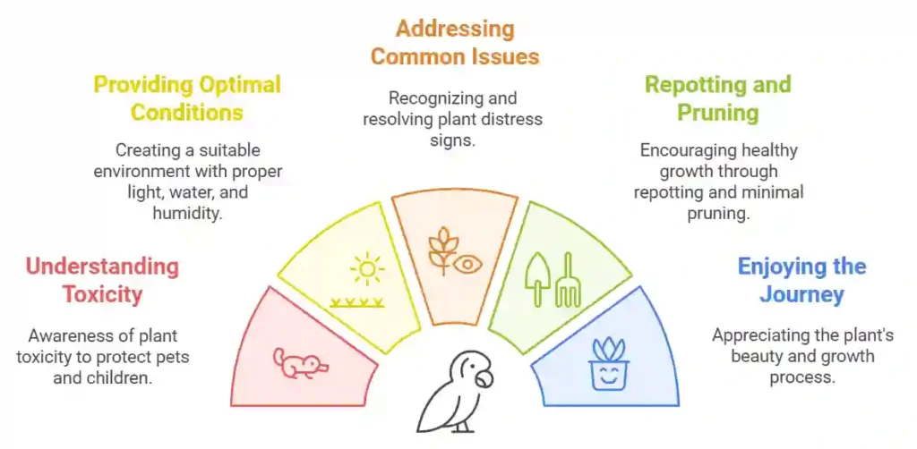 Responsible Bird of Paradise housplant Ownership