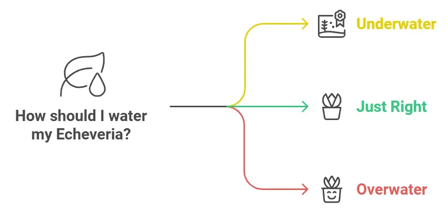 Water for Pamacrystial Plant