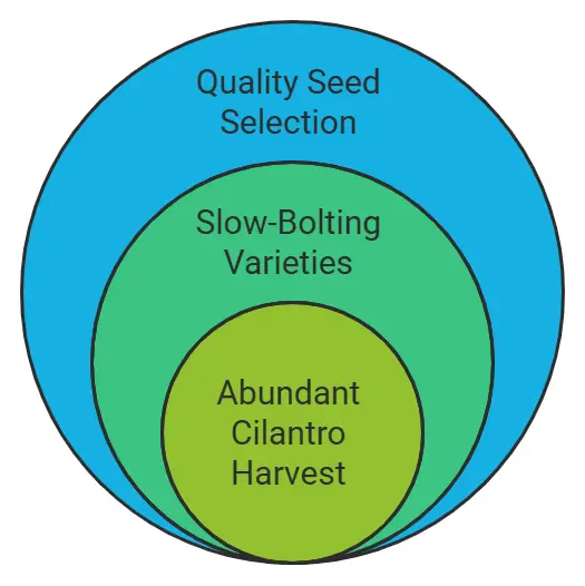 Selecting the Right Cilantro Seeds for Hydroponic Success