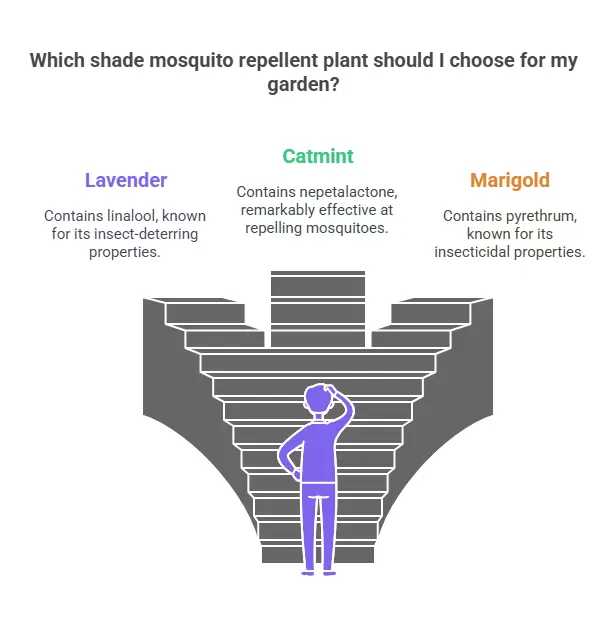 Which shade mosquito repellent plants should I choose for my garden?