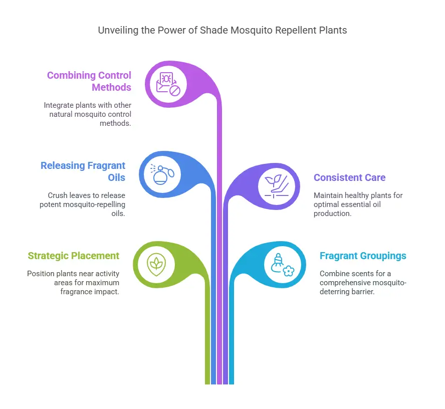 Unveiling the Power of Shade Mosquito Repellent Plants