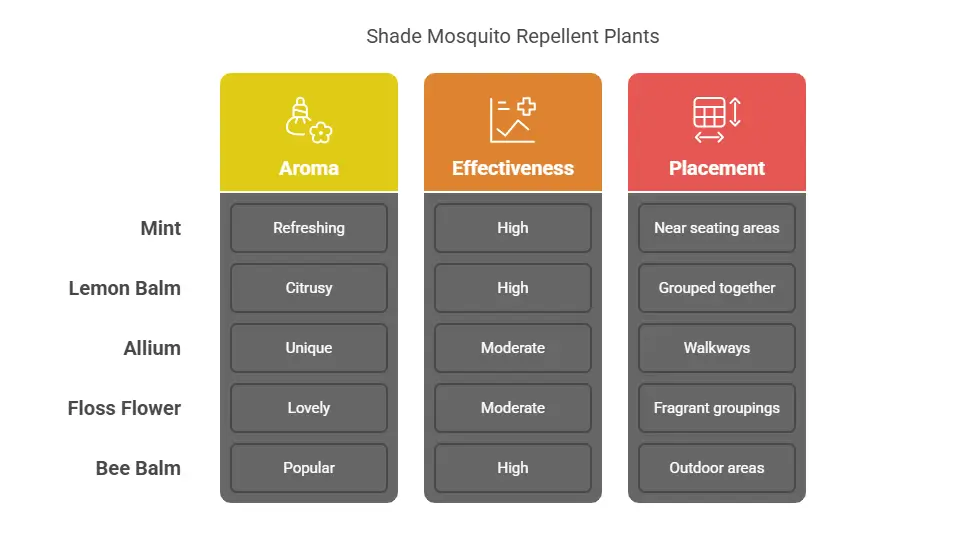 Shade Mosquito Repellent Plants
