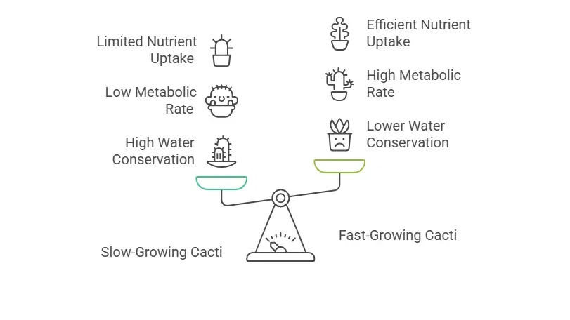 fast growing cactus plants