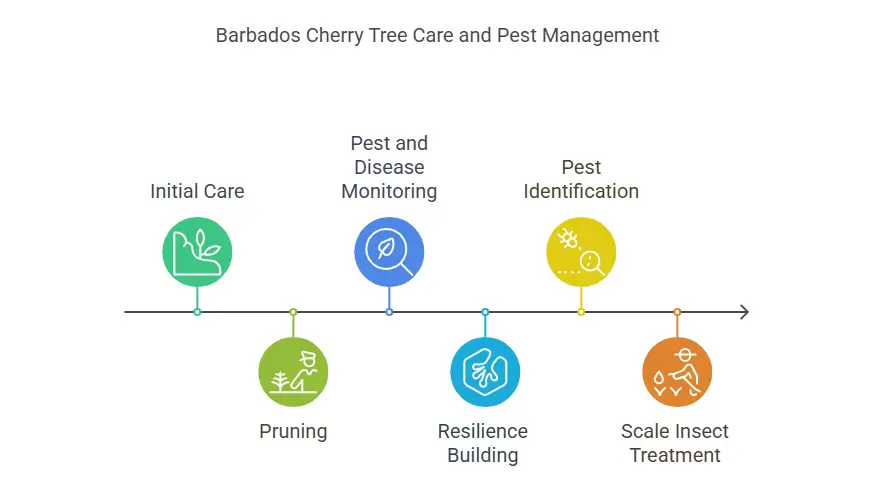 Cherry Barbados Tree Care and Pest Management