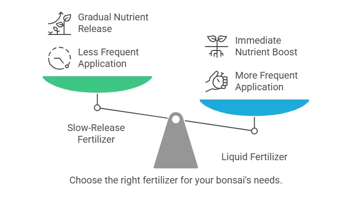 Choose the right fertilizer for your colorado blue spruce bonsai's needs