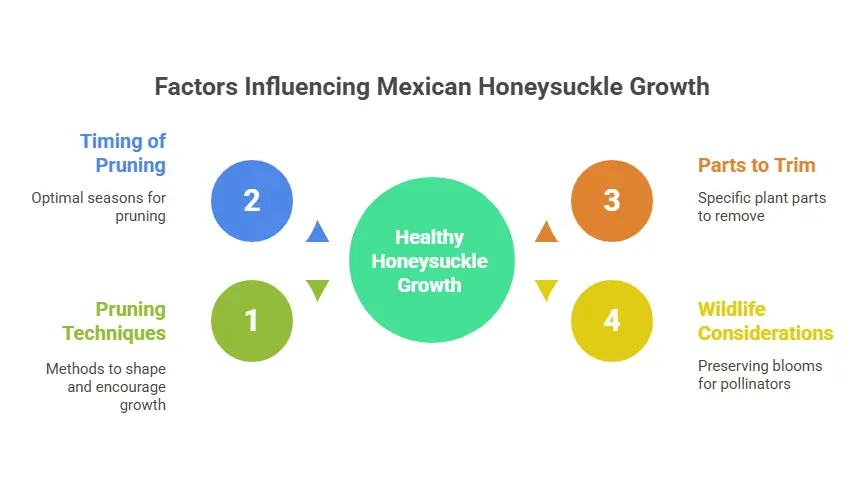 Factors Influencing Mexican Honeysuckle Plant Growth