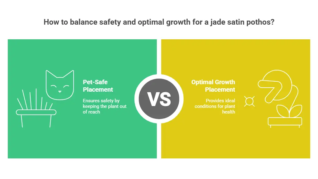 How to balance safety and optimal growth for a jade satin pothos