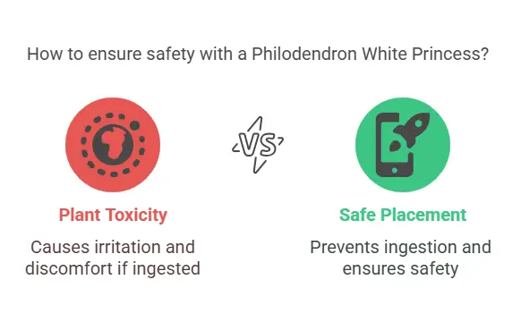 How to ensure safety with a Philodendron White Princess