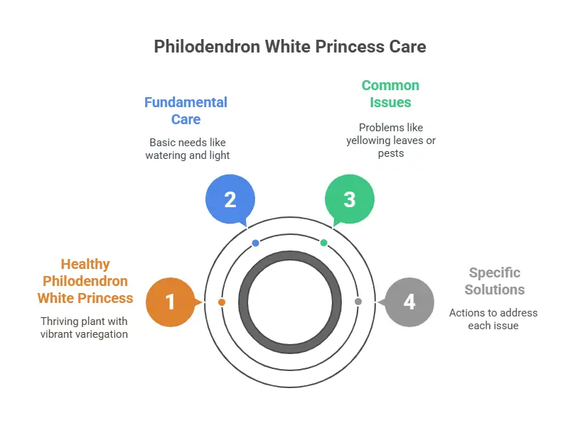 Philodendron White Princess Care