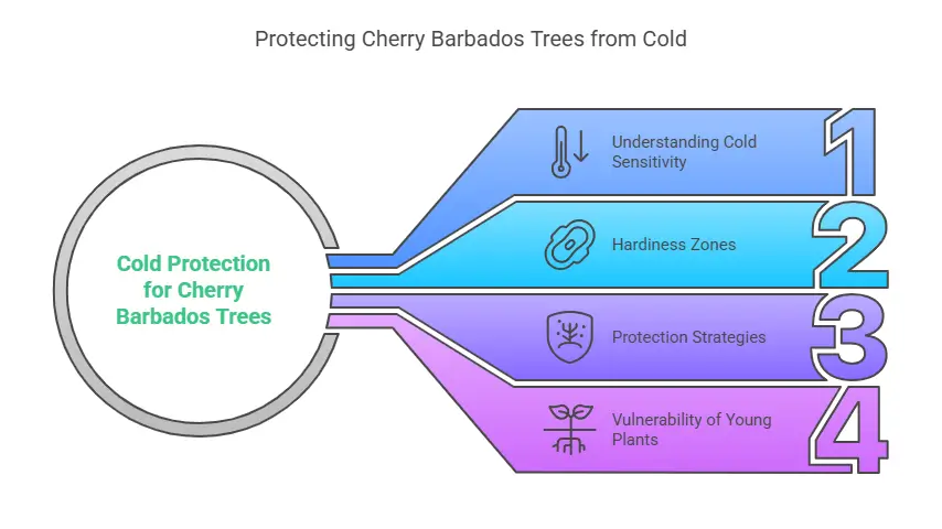 Protecting Cherry Barbados Trees from Cold