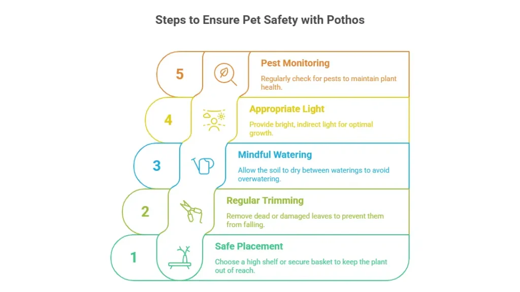 Steps to Ensure Pet Safety with jade satin pothos