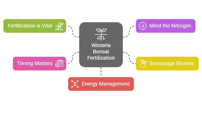 Wisteria Bonsai Fertilization Strategies