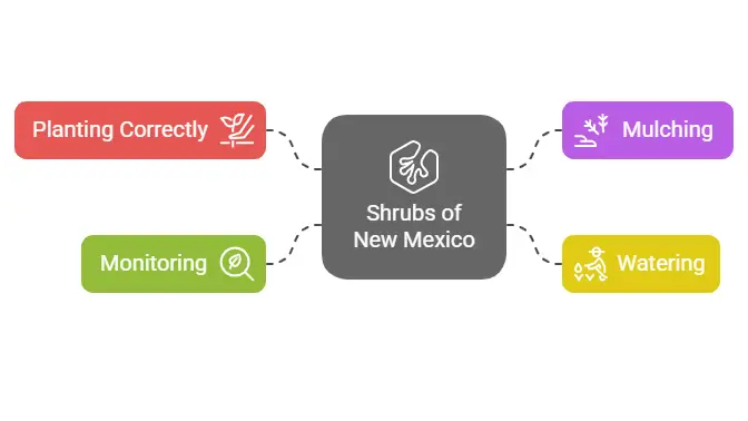 shrubs of new mexico