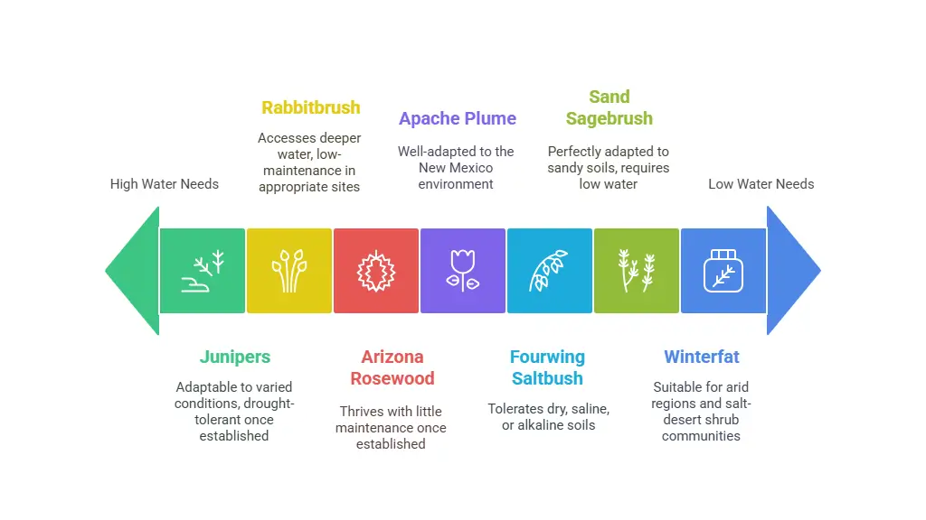shrubs of new mexico
